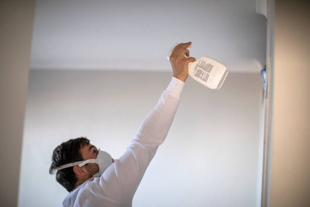 Best Post-Flood Mold Remediation in Winchester, TN