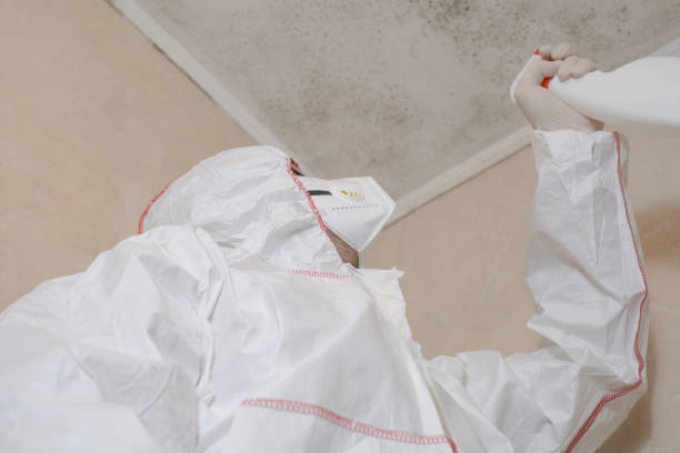 Best Mold Testing and Inspection Services in Winchester, TN