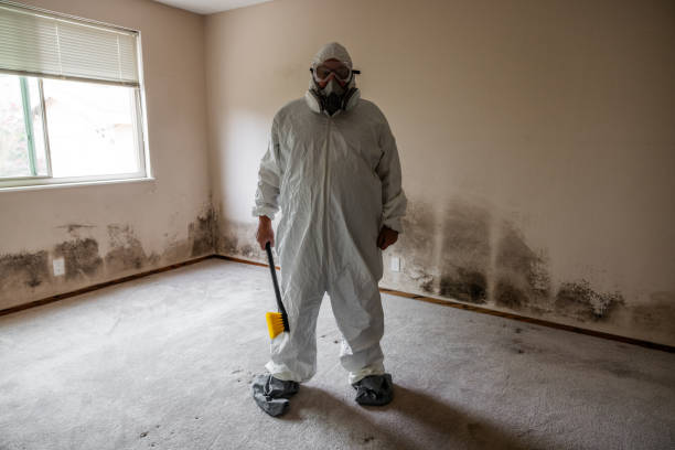 Best Emergency Mold Remediation in Winchester, TN